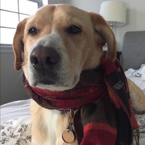 Meet your Posher, Jacqueline